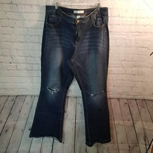 Est.1946 plus denim Jeans